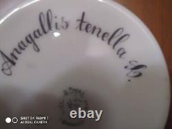 Royal Copenhagen Porcelain Flora Danica Cup and Saucer Anagallis tenella