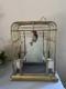 Vintage Art Deco Hanging Hendryx Bird Cage Mcm Original Glass Porcelain Feeders