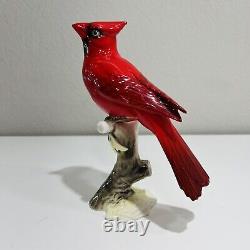 Vintage Hutschenreuther Porcelain 1960 Figurine Cardinal Figurine Signed