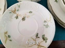 Vtg Haviland Limoges France E. B. Taylor Co. 21pc Luncheon Set Violet Pattern