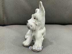 Vtg Royal Vienna Porcelain Augarten Wien White Terrier Dog Puppy Figurine