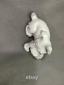 Vtg Royal Vienna Porcelain Augarten Wien White Terrier Dog Puppy Figurine